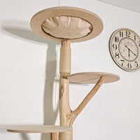 Naturkratzbaum 4590 Kratzbaum Natur Holz Design 170 cm hoch Katzenbaum