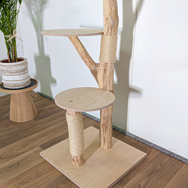 Naturkratzbaum 4590 Kratzbaum Natur Holz Design 170 cm hoch Katzenbaum