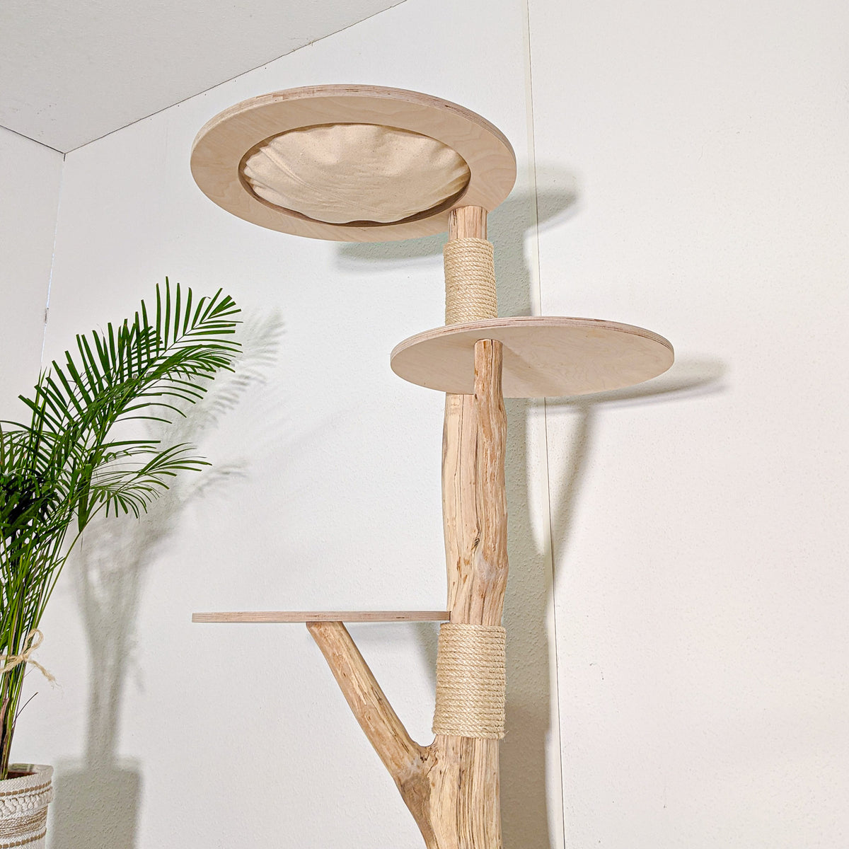 Naturkratzbaum 4590 Kratzbaum Natur Holz Design 170 cm hoch Katzenbaum