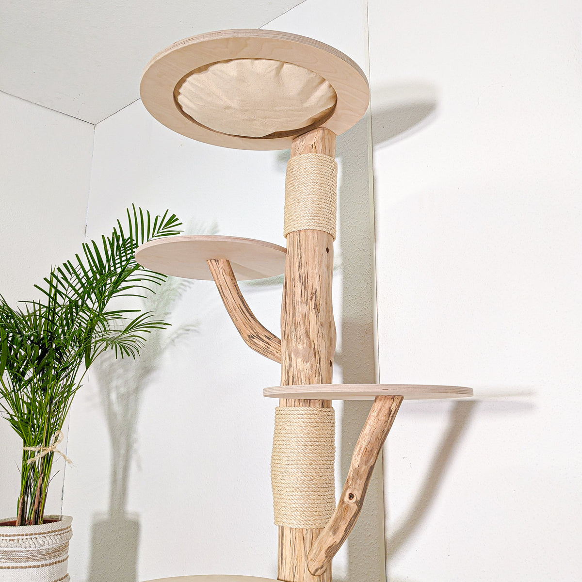 Naturkratzbaum 4591 Kratzbaum Natur Holz Design 175 cm hoch Katzenbaum