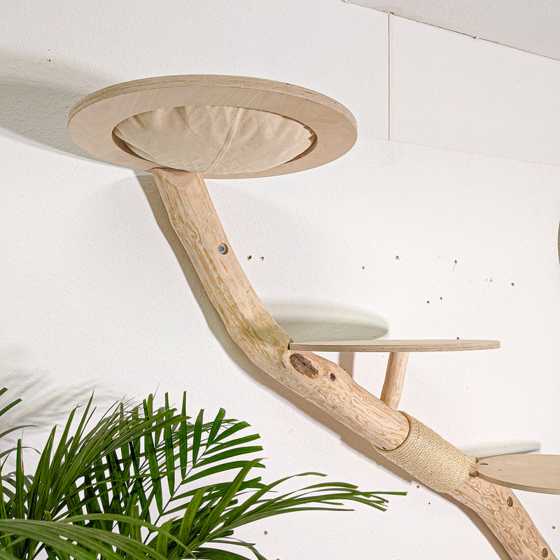 Wandkratzbaum 4593 Naturkratzbaum 160 cm Länge Kratzbaum Natur Holz Design