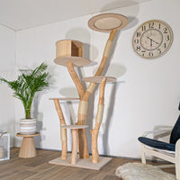 Naturkratzbaum 4605 Kratzbaum Natur Holz Design 203 cm hoch Katzenbaum