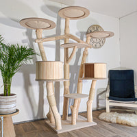 Naturkratzbaum 4607 Kratzbaum Natur Holz Design 205 cm hoch Katzenbaum