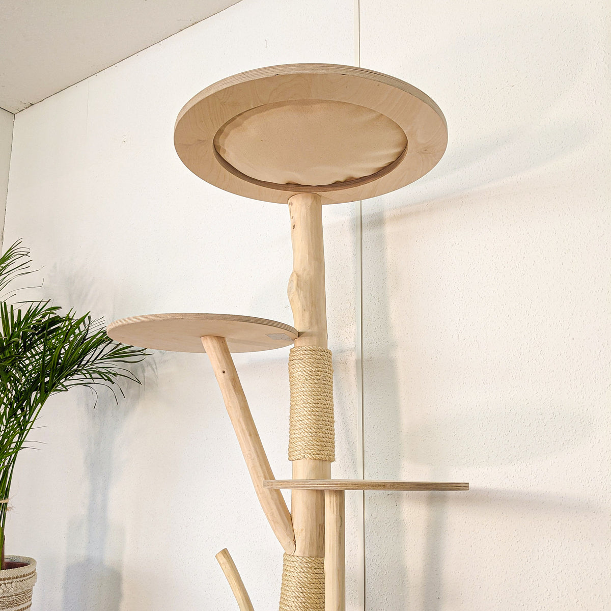 Naturkratzbaum 4612 Kratzbaum Natur Holz Design 160 cm hoch Katzenbaum