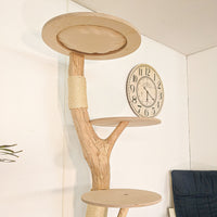 RESERVIERT + ÄNDERUNG - Naturkratzbaum 4613 Kratzbaum Natur Holz Design 190 cm hoch Katzenbaum