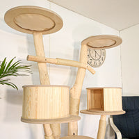 Naturkratzbaum 4618 Kratzbaum Natur Holz Design 180 cm hoch Katzenbaum