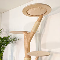 RESERVIERT - Naturkratzbaum 4621 Kratzbaum Natur Holz Design 185 cm hoch Katzenbaum
