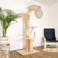 RESERVIERT - Naturkratzbaum 4621 Kratzbaum Natur Holz Design 185 cm hoch Katzenbaum