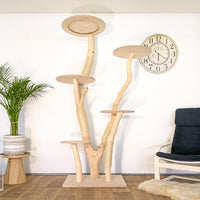 RESERVIERT - Naturkratzbaum 4624 Kratzbaum Natur Holz Design 209 cm hoch Katzenbaum