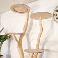 RESERVIERT - Naturkratzbaum 4624 Kratzbaum Natur Holz Design 209 cm hoch Katzenbaum