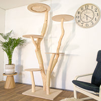 RESERVIERT - Naturkratzbaum 4624 Kratzbaum Natur Holz Design 209 cm hoch Katzenbaum