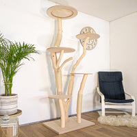 RESERVIERT - Naturkratzbaum 4624 Kratzbaum Natur Holz Design 209 cm hoch Katzenbaum