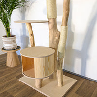 Naturkratzbaum 4626 Kratzbaum Natur Holz Design 174 cm hoch Katzenbaum