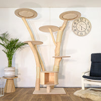 Naturkratzbaum 4627 Kratzbaum Natur Holz Design 200 cm hoch Katzenbaum