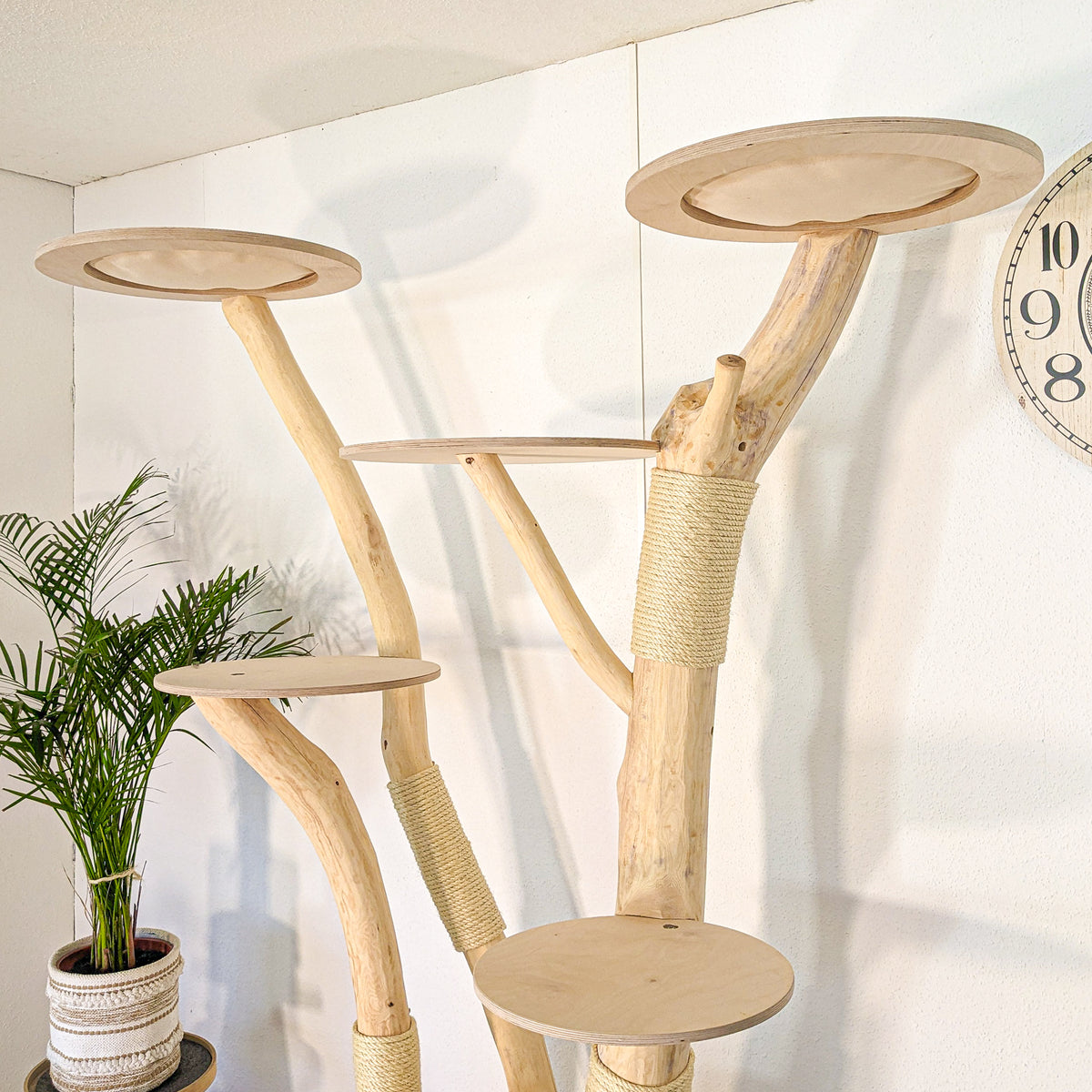 Naturkratzbaum 4627 Kratzbaum Natur Holz Design 200 cm hoch Katzenbaum