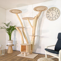 Naturkratzbaum 4627 Kratzbaum Natur Holz Design 200 cm hoch Katzenbaum
