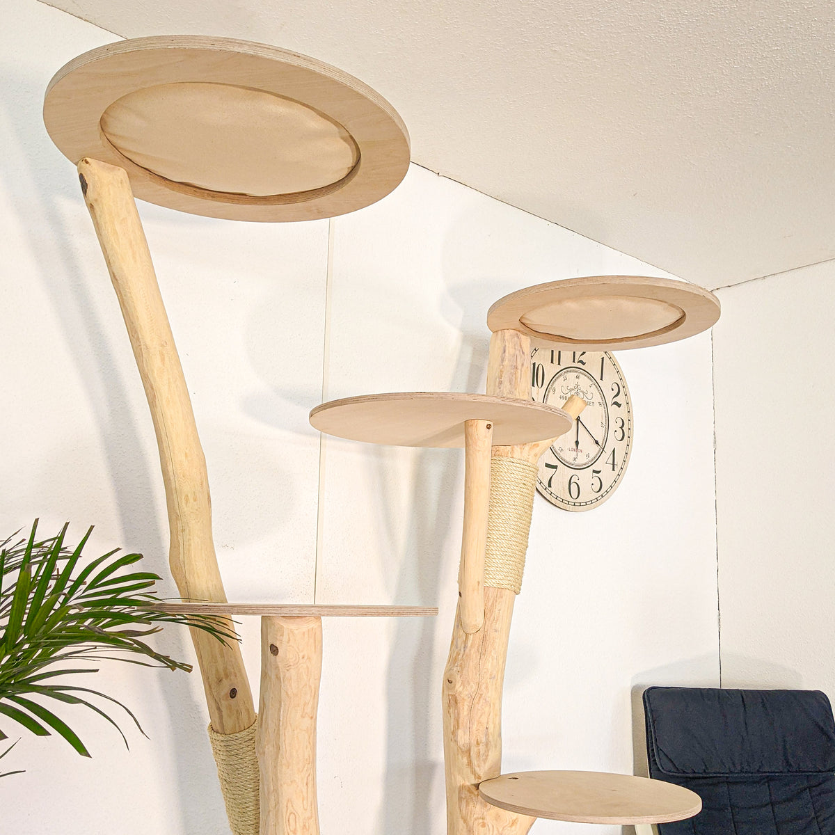 Naturkratzbaum 4627 Kratzbaum Natur Holz Design 200 cm hoch Katzenbaum