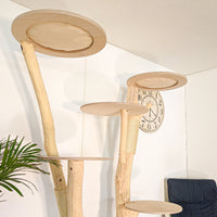 Naturkratzbaum 4627 Kratzbaum Natur Holz Design 200 cm hoch Katzenbaum