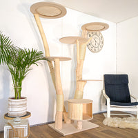 Naturkratzbaum 4627 Kratzbaum Natur Holz Design 200 cm hoch Katzenbaum