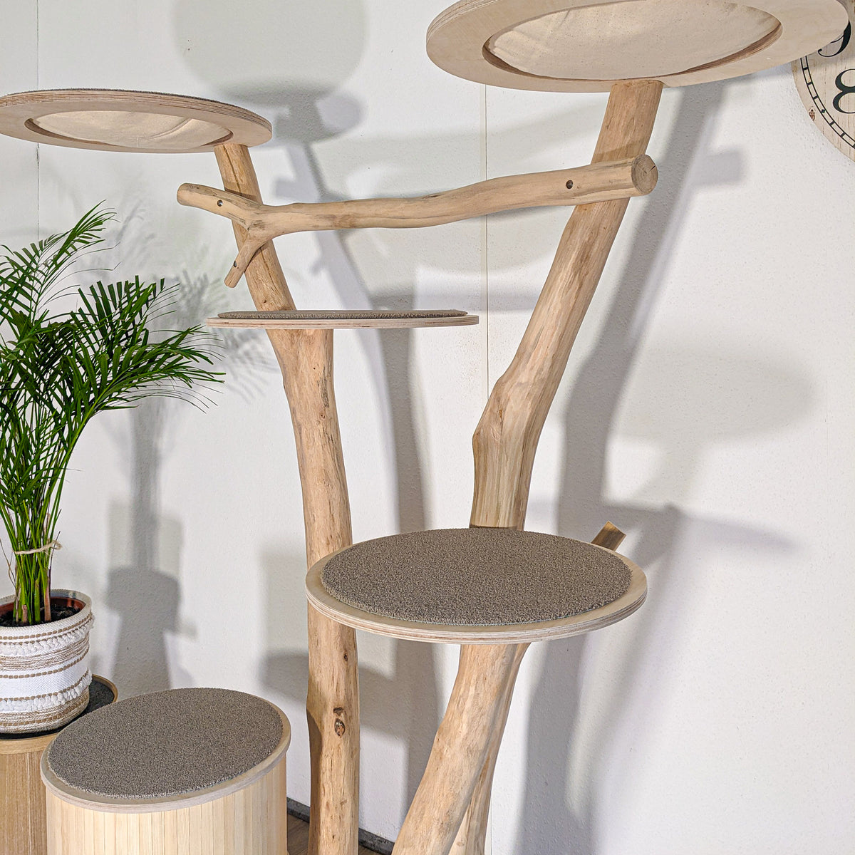 RESERVIERT - Naturkratzbaum KA082 Kratzbaum Natur Holz Design 175 cm hoch Katzenbaum