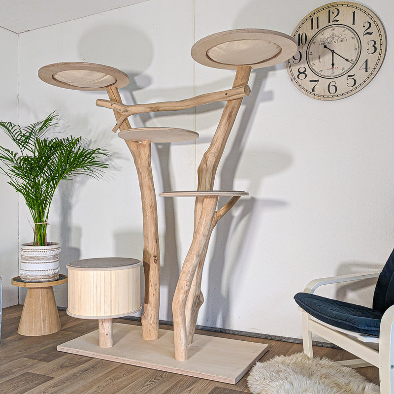 RESERVIERT - Naturkratzbaum KA082 Kratzbaum Natur Holz Design 175 cm hoch Katzenbaum