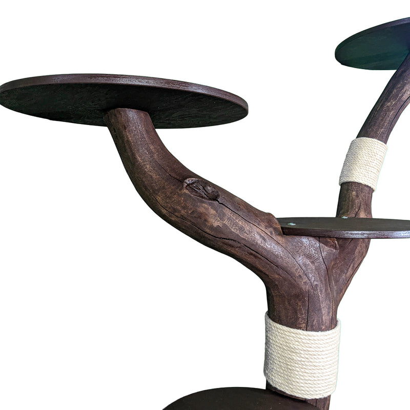 Outdoor Naturkratzbaum 4549 Kratzbaum Natur Holz Design 142 cm hoch Katzenbaum