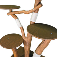 Outdoor Naturkratzbaum 4550 Kratzbaum Natur Holz Design 200 cm hoch Katzenbaum