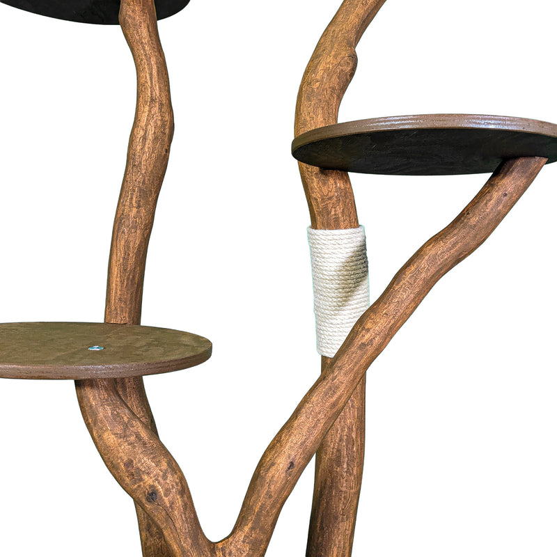Outdoor Naturkratzbaum 4554 Kratzbaum Natur Holz Design 158 cm hoch Katzenbaum