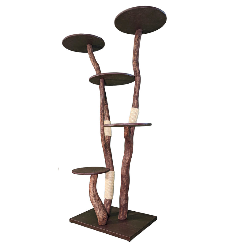 Outdoor Naturkratzbaum 4555 Kratzbaum Natur Holz Design 206 cm hoch Katzenbaum