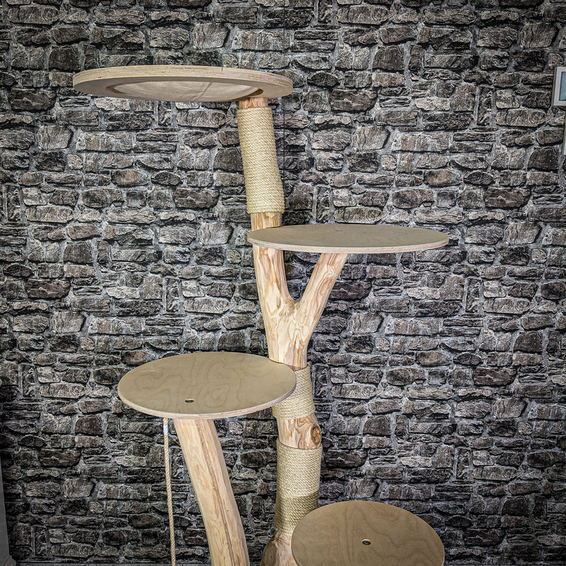 Naturkratzbaum 175 cm hoch Kratzbaum Natur Holz Design 2699 Katzenbaum