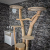 Naturkratzbaum 2044 Kratzbaum Natur Holz Design 205 cm hoch