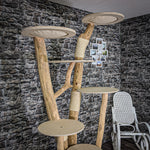 Naturkratzbaum 2051 Kratzbaum Natur Holz Design 220 cm hoch