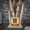 Naturkratzbaum 2051 Kratzbaum Natur Holz Design 220 cm hoch