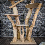 Naturkratzbaum 2052 Kratzbaum Natur Holz Design 183 cm hoch