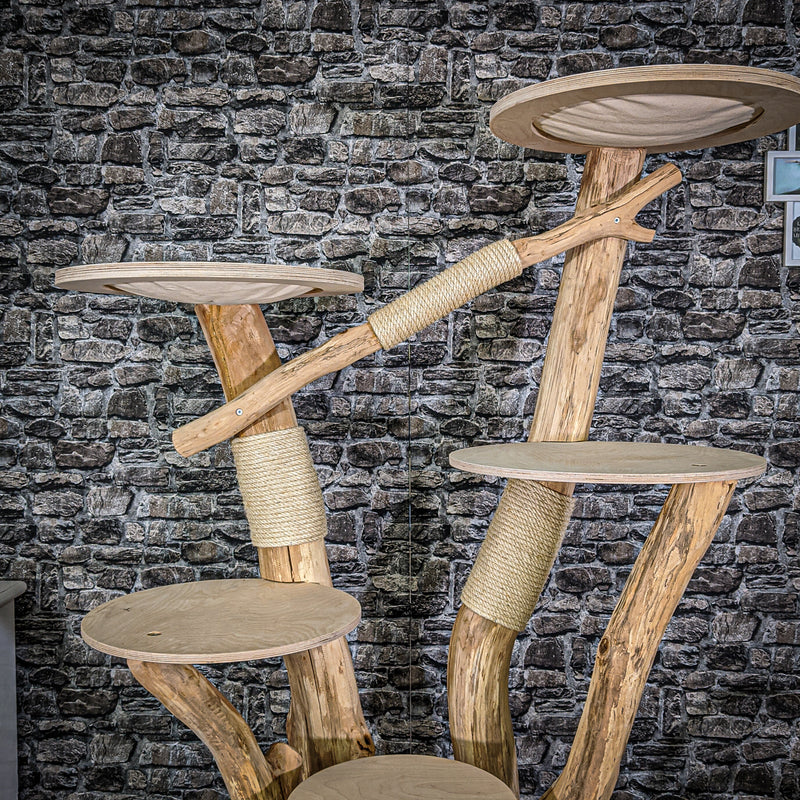 Naturkratzbaum 2052 Kratzbaum Natur Holz Design 183 cm hoch