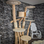 Naturkratzbaum 2058 Kratzbaum Natur Holz Design 205 cm hoch
