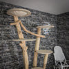Naturkratzbaum 2059 Kratzbaum Natur Holz Design 210 cm hoch