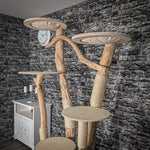 Naturkratzbaum 2059 Kratzbaum Natur Holz Design 210 cm hoch