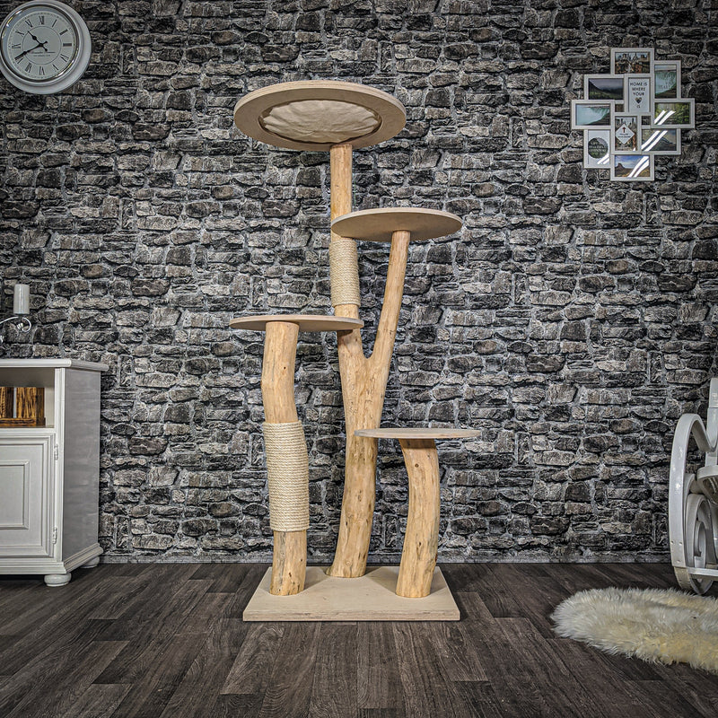 RESERVIERT Naturkratzbaum 2061 Kratzbaum Natur Holz Design 160 cm hoch