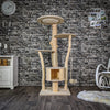 Naturkratzbaum 2075 Kratzbaum Natur Holz Design 155 cm hoch