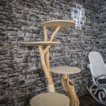 Naturkratzbaum 2082 Kratzbaum Natur Holz Design 145 cm hoch