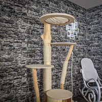 Naturkratzbaum 2084 Kratzbaum Natur Holz Design 170 cm hoch