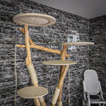 Naturkratzbaum 2094 Kratzbaum Natur Holz Design 195 cm hoch