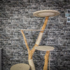 Naturkratzbaum 2097 Kratzbaum Natur Holz Design 168 cm hoch