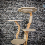 Naturkratzbaum 2098 Kratzbaum Natur Holz Design 145 cm hoch
