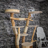 Naturkratzbaum 2124 Kratzbaum Natur Holz Design 170 cm hoch