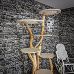 Naturkratzbaum 2137 Kratzbaum Natur Holz Design 205 cm hoch