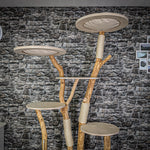 Naturkratzbaum 2137 Kratzbaum Natur Holz Design 205 cm hoch