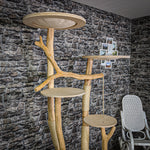 Naturkratzbaum 2147 Kratzbaum Natur Holz Design 200 cm hoch