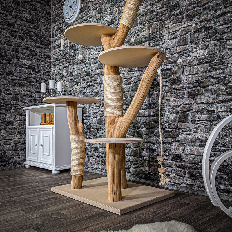 RESERVIERT + ÄNDERUNGEN - Naturkratzbaum 2148 Kratzbaum Natur Holz Design 165 cm hoch